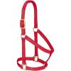 Nylon Horse Halter, Comfort Double-Ply Webbing, Basic Non Adjustable Halters for Horses, Equine Tack,Average Size, Black(Red)