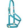 Nylon Horse Halter, Comfort Double-Ply Webbing, Basic Non Adjustable Halters for Horses, Equine Tack,Average Size, Black(Turquoise)