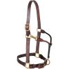 Weaver Leather 3-in-1 All Purpose Halter(Mahogany)