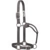Weaver Leather Original Adjustable Nylon Halter with Chrome Plated Hardware(Graphite)