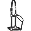 Weaver Leather Original Non-Adjustable Nylon Halter with Chrome Plated Hardware(Black)