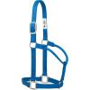 Weaver Leather Original Non-Adjustable Nylon Halter with Chrome Plated Hardware(Blue)