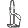 Weaver Leather Original Non-Adjustable Nylon Halter with Chrome Plated Hardware(Graphite)
