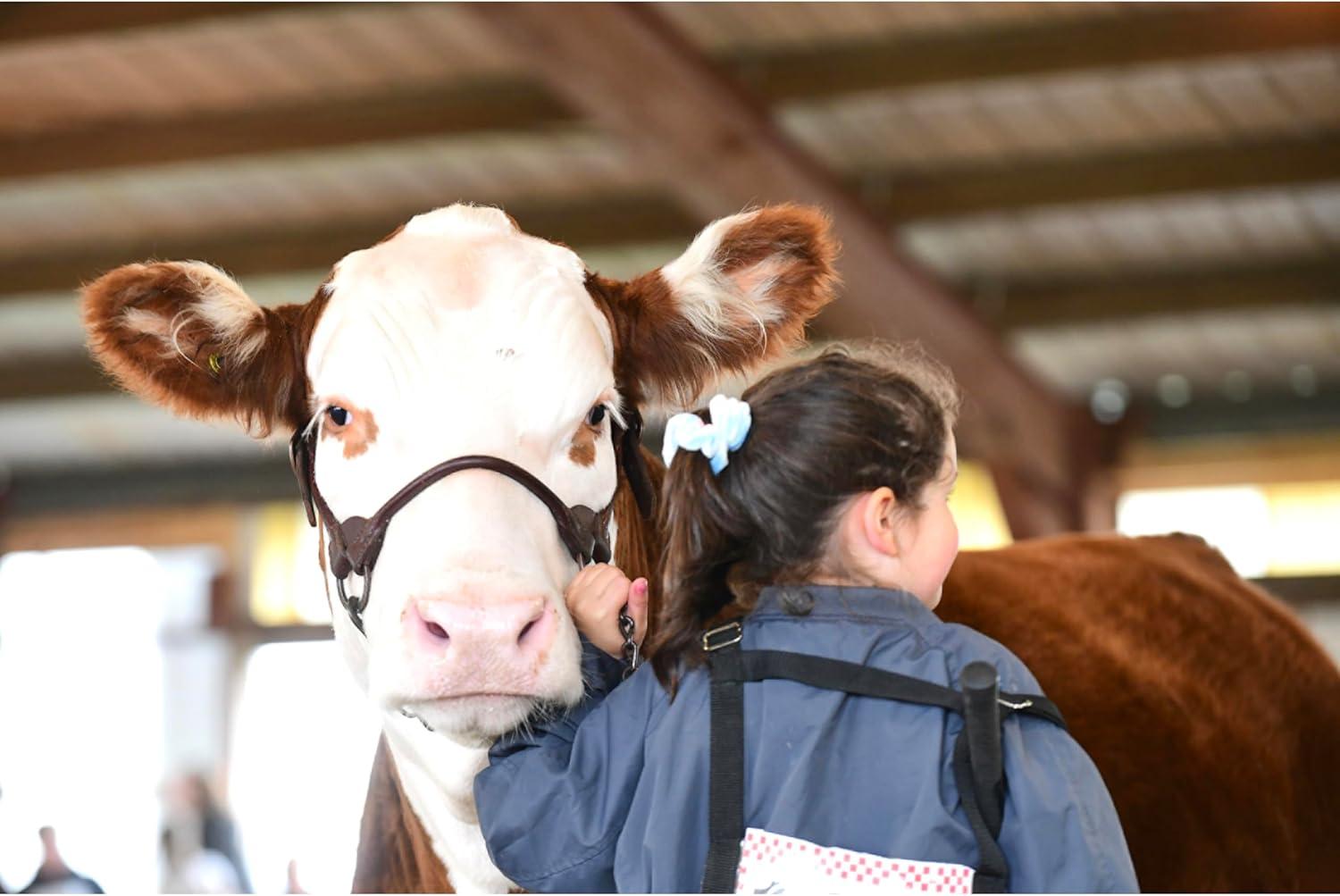 imageWeaver Leather Bombshell Show HalterBrown