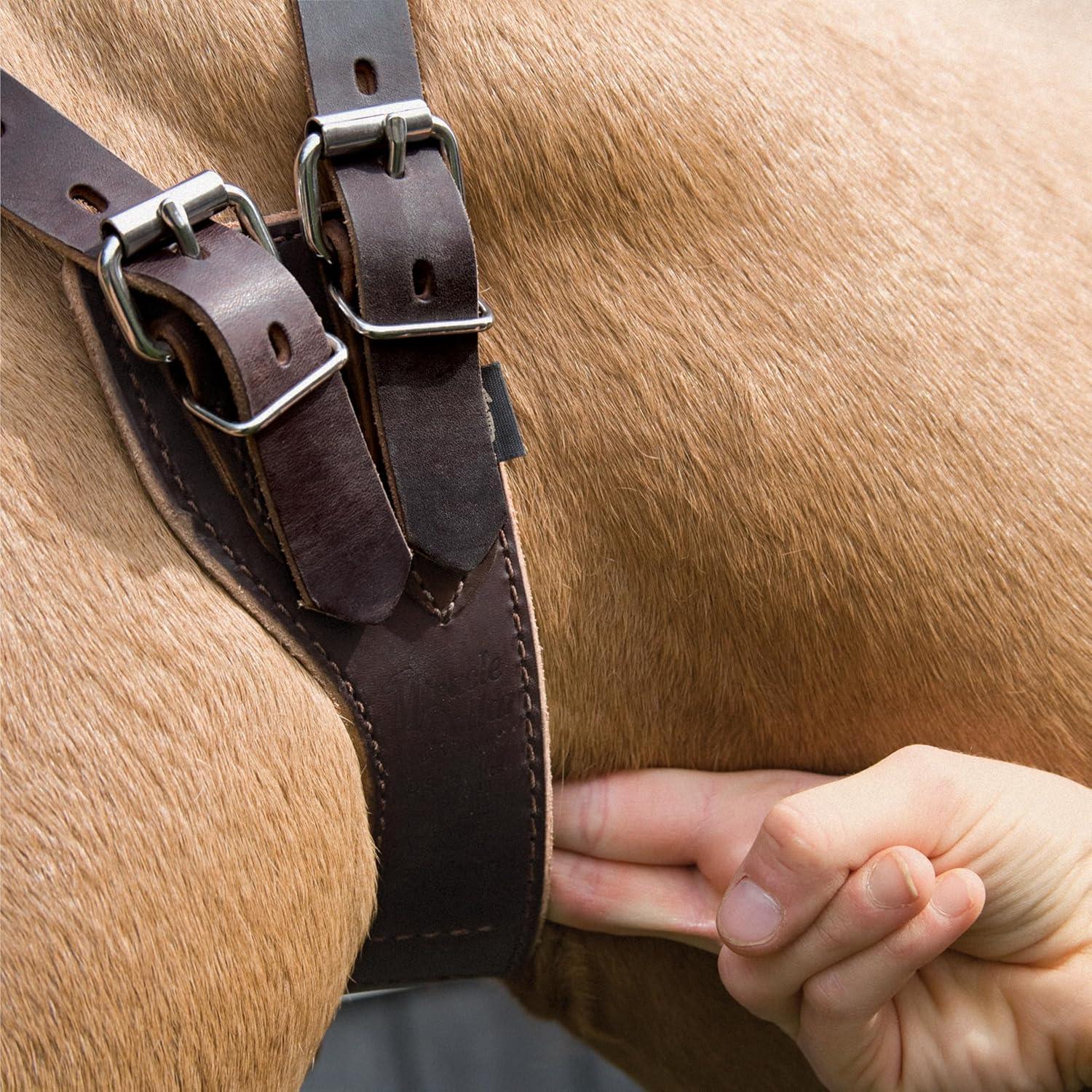 imageWeaver Leather Miracle Collar in Display BoxHavana