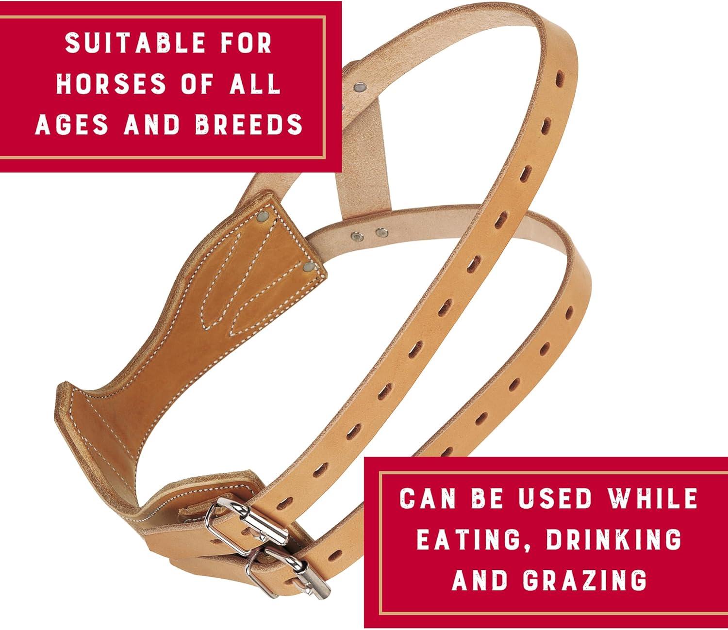 imageWeaver Leather Miracle Collar in Display BoxRusset