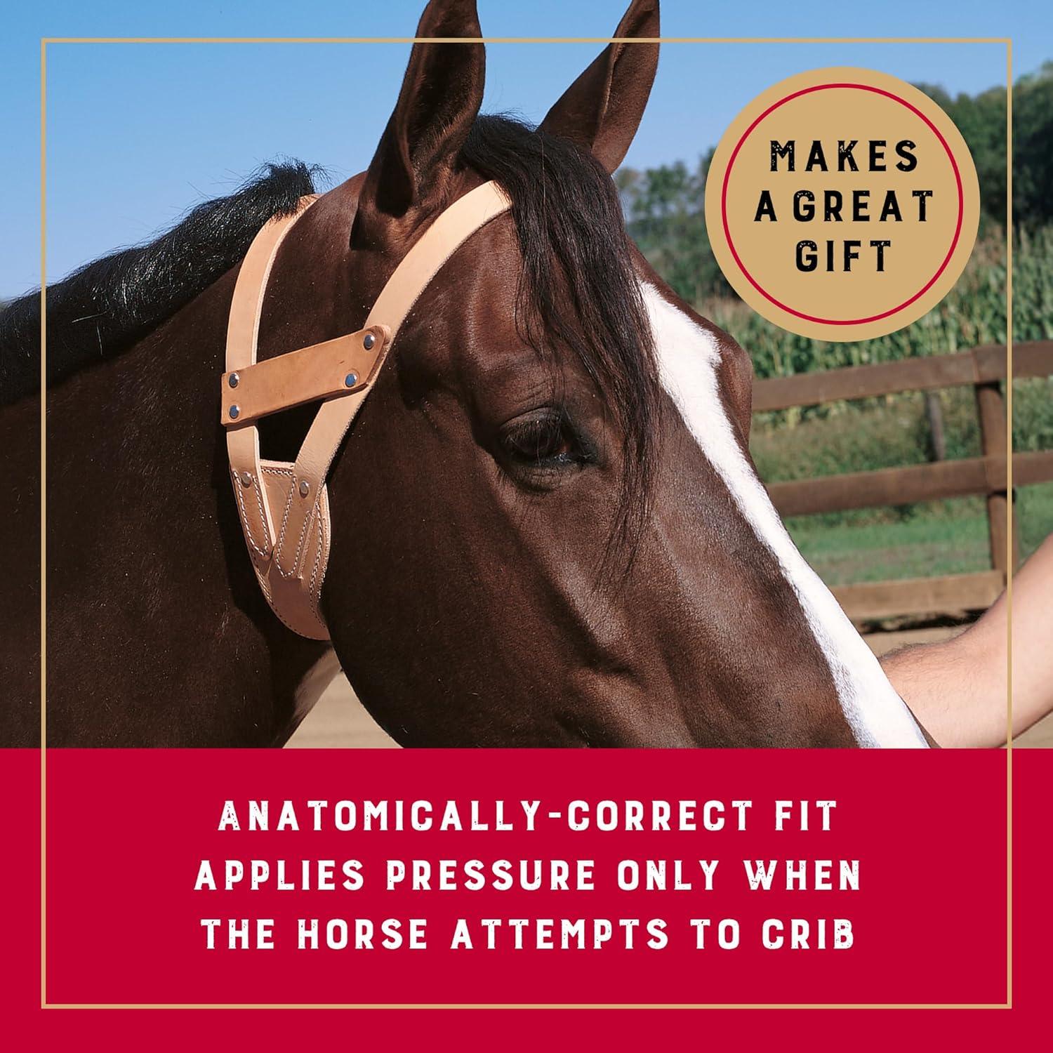 imageWeaver Leather Miracle Collar in Display BoxRusset