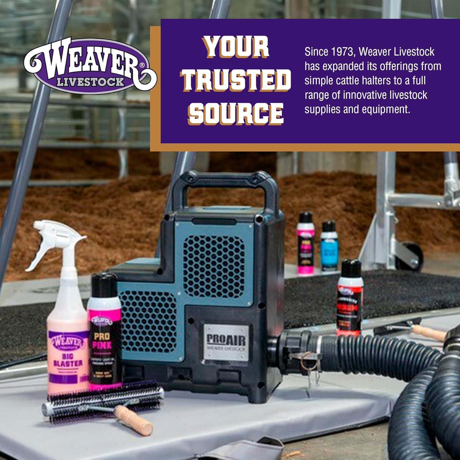 imageWeaver Livestock Basic Pig Show Whip with Chrome Tipped Handle Hog Livestock Whip for Show Ring Competition Leather Pig Whips for ShowingBlack