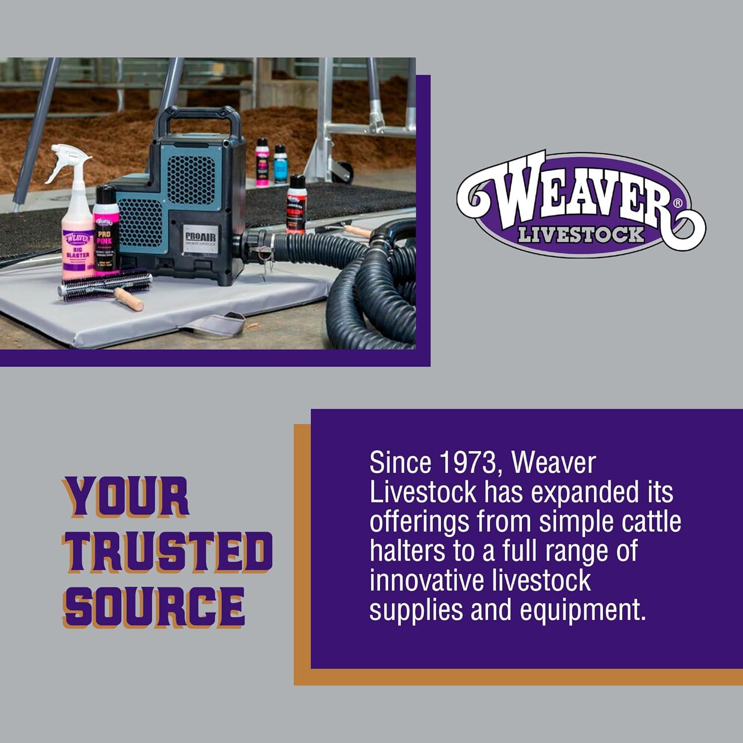 imageWeaver Livestock Cattle Fly Mask Adjustable MeshCovered Cow Mask Protective Herd Gear for Trailer Use GrayPurple One Size Fits Most Cattle