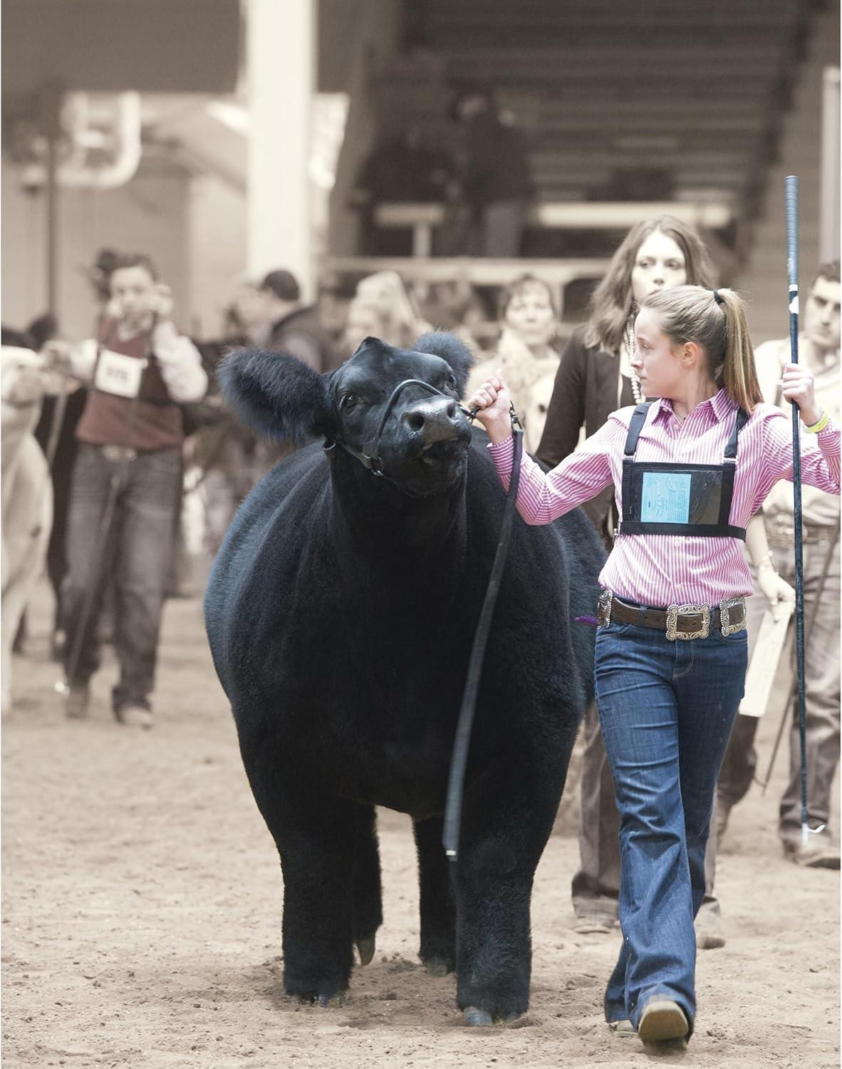 imageWeaver Livestock Leather Magic Show Cattle Halter Adjustable Modern Style Cow Calf Halter Livestock Handling Equipment for Showing BlackBlack