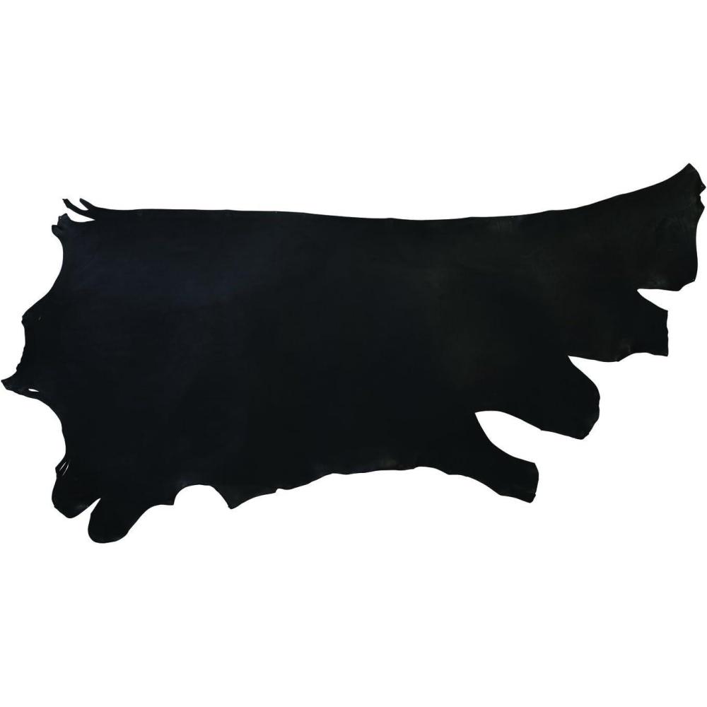 imageChahin HolsterBlack