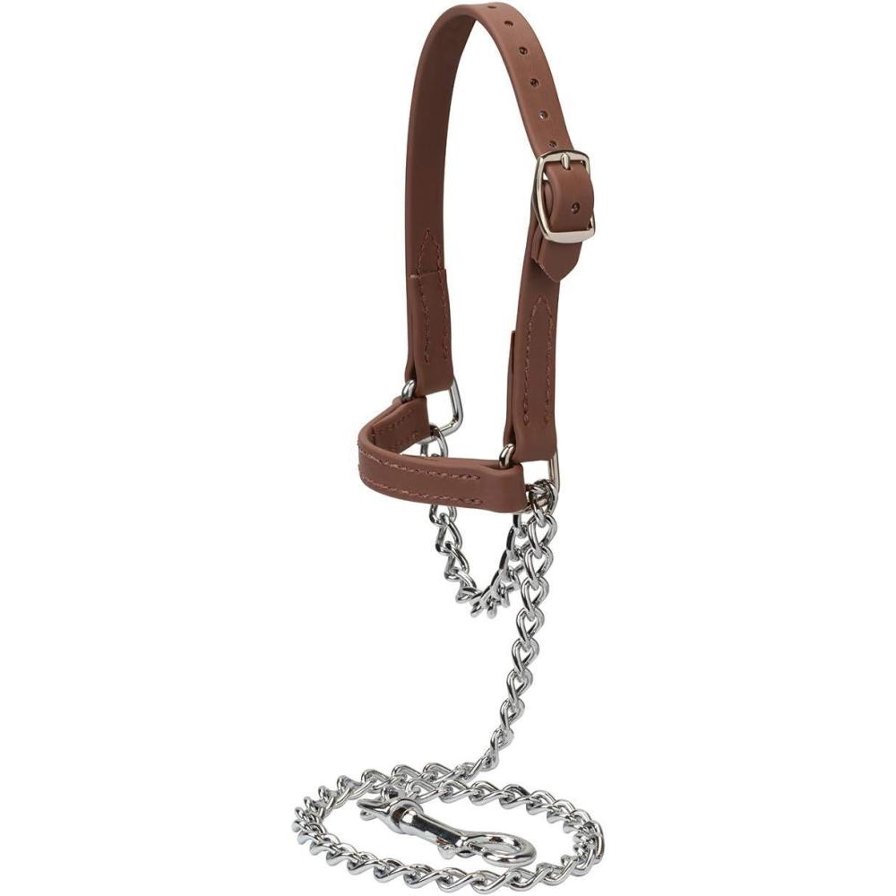 imageWeaver Leather Livestock Adjustable Brahma Webb Goat HalterMedium