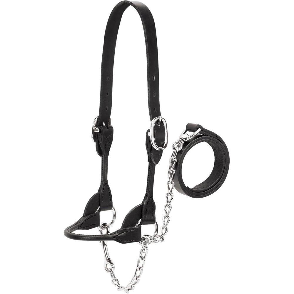 imageWeaver Leather Livestock DairyBeef Rounded Show Halter Black XLarge
