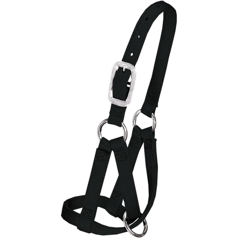 imageWeaver Leather Livestock Llama Halter Black Medium
