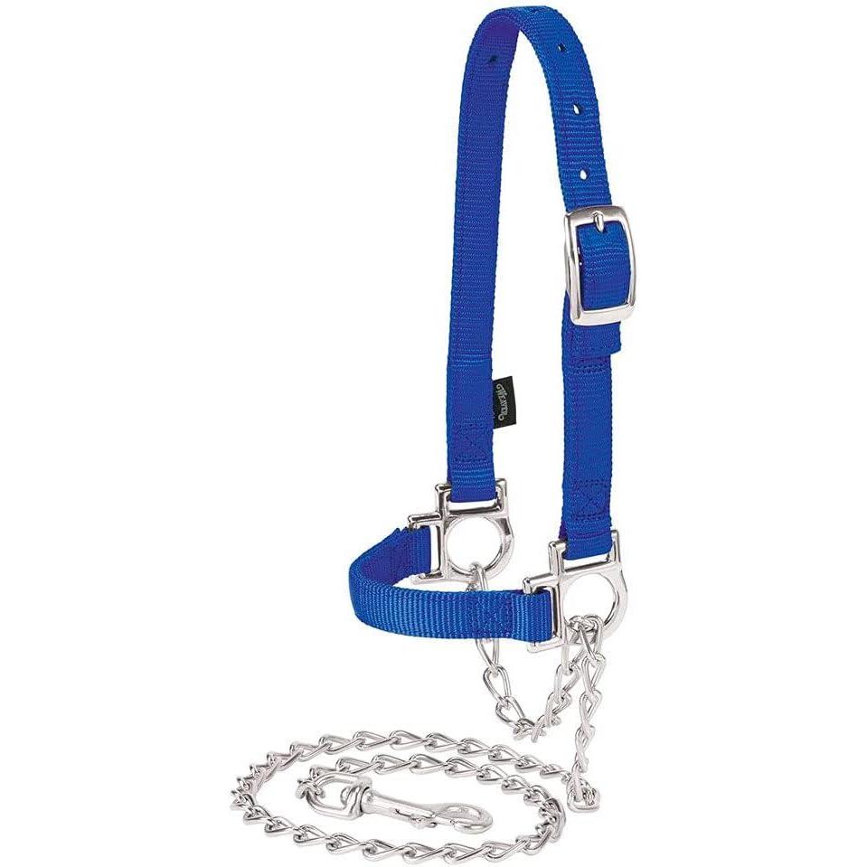 imageWeaver Leather Livestock Nylon Adjustable Sheep Halter with Chain Lead BlackBlue