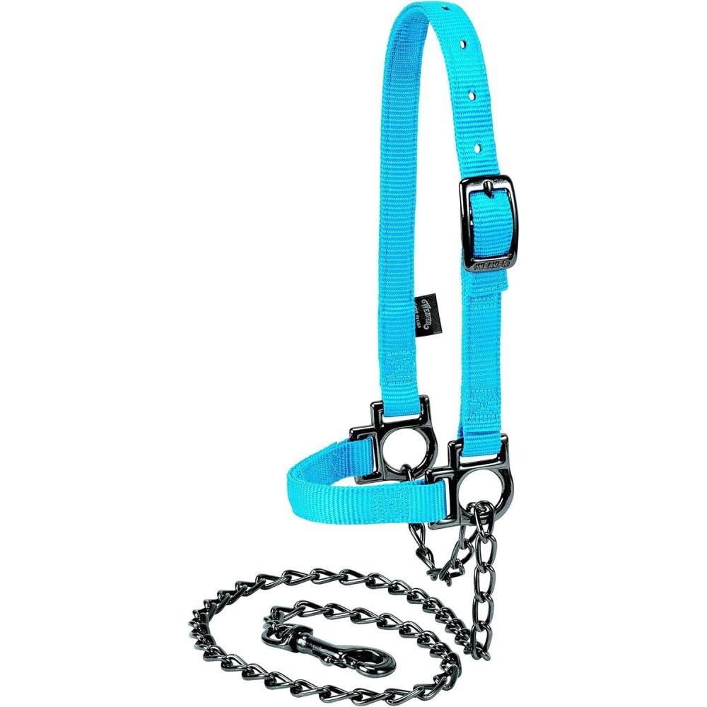 imageWeaver Leather Livestock Nylon Adjustable Sheep Halter with Chain Lead BlackHurricane Blue