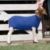 Weaver Leather Spandex Goat Tube(Blue)