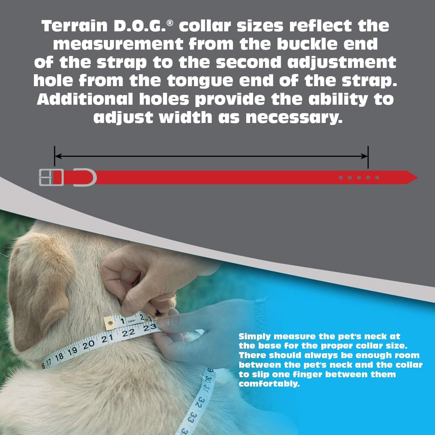 imageTerrain DOG Brahma Webb Dog Collar