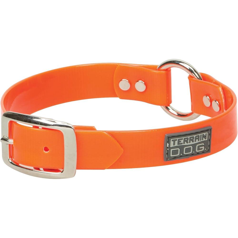 imageTerrain DOG Brahma Webb Clear Coat Dog Collar1 x 21