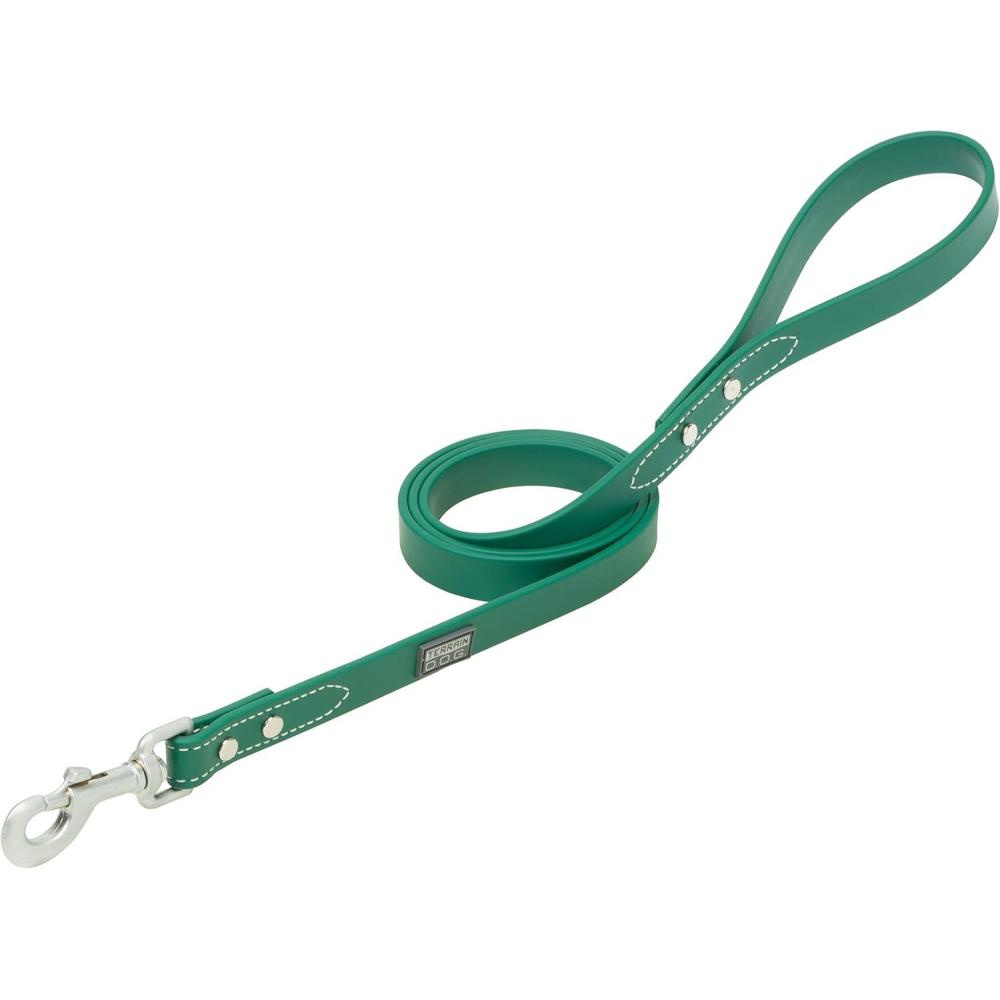 imageTerrain DOG Brahma Webb Dog Leash 34quot x 4 Blaze OrangeAlpine Green