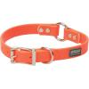 Terrain D.O.G. Brahma Webb Hunting Dog Collar, 1″ x 25″, Brown(Blaze Orange)