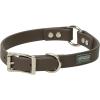 Terrain D.O.G. Brahma Webb Hunting Dog Collar, 1″ x 25″, Brown(Brown)