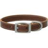 Terrain D.O.G. Bridle Leather Dog Collar(Brown)