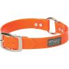 Terrain D.O.G. Brahma Webb Clear Coat Dog Collar(1″ x 21″)