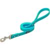 Terrain D.O.G. Brahma Webb Dog Leash, 3/4″ x 4′, Blaze Orange(Hurricane Blue)