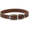 Terrain D.O.G. Bridle Leather Dog Collar(Brown)