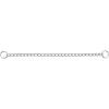 Terrain D.O.G. Chain Slip Collar, Chrome Plated(3.9mm x 28″)