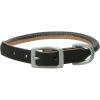Terrain D.O.G. Harness Leather Rolled Dog Collar(Black)