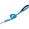Terrain D.O.G. Reflective Neoprene Lined Dog Leash(Blue)