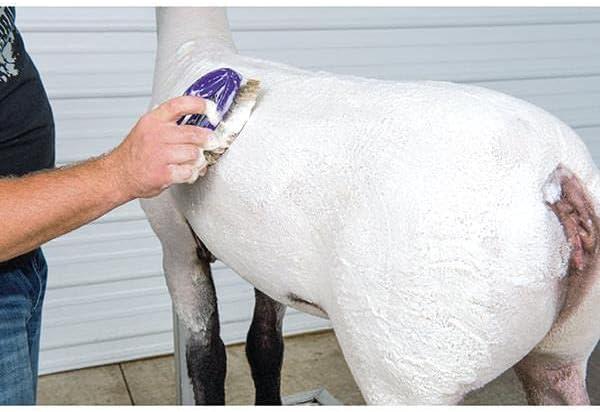 imageWeaver Leather Brightening Shampoo1Gallon