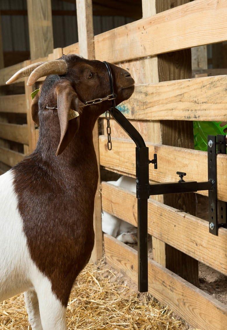 imageWeaver Leather Livestock Steel Gate Attachment Nose Loop Headpiece black