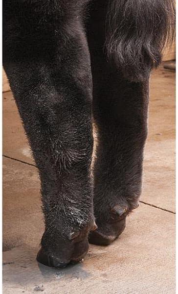 imageWeaver Leather Stierwalt ProRemover Liquid1Quart