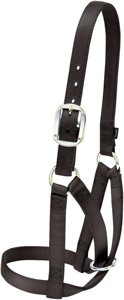 imageWeaver Livestock Barn Cow Buckle Cattle Halter Adjustable Modern Style Cow Calf Halter Livestock Handling Equipment for Showing BlackBlack