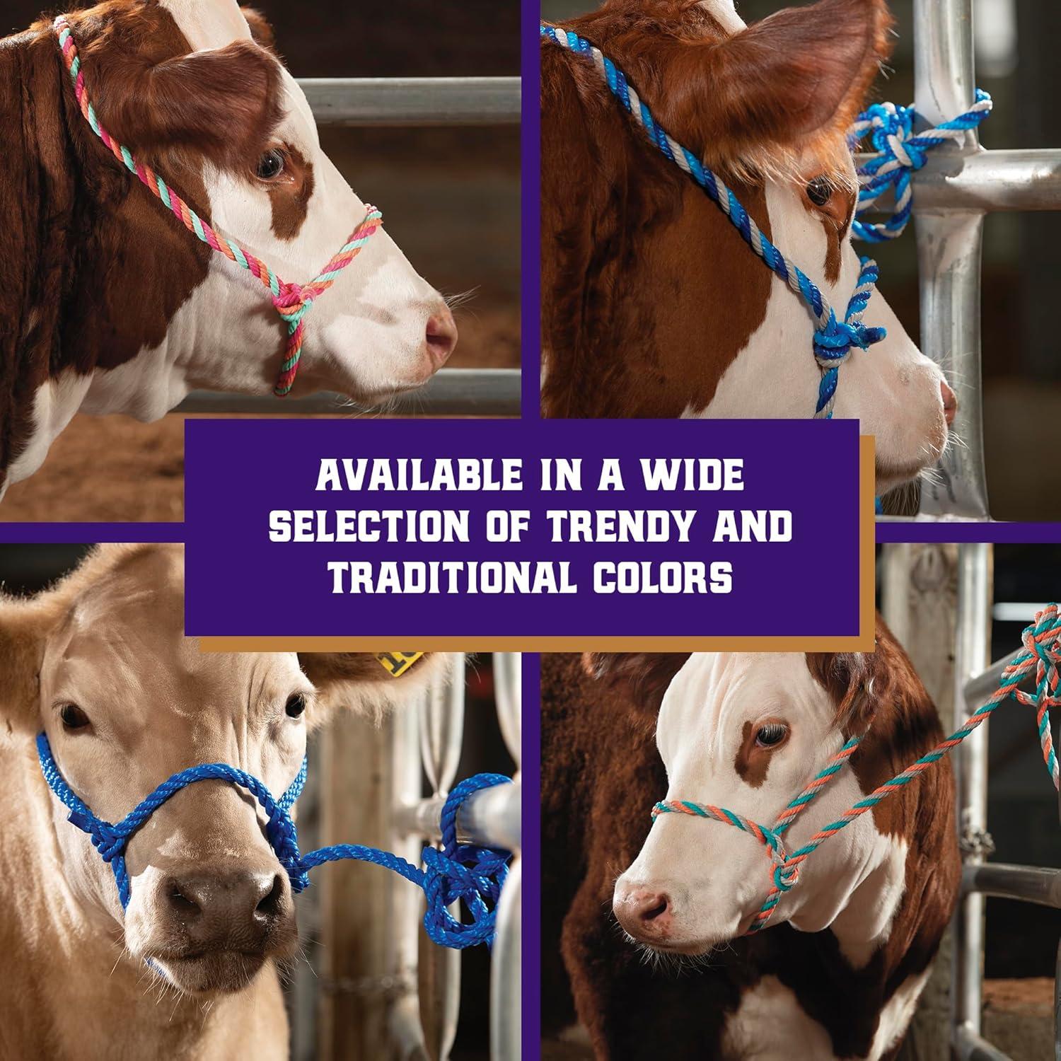 imageWeaver Livestock Braided Poly Rope Cattle Halter Adjustable Cow Calf Halter Livestock Handling Equipment for Showing Dark BlueHurricane BlueGray