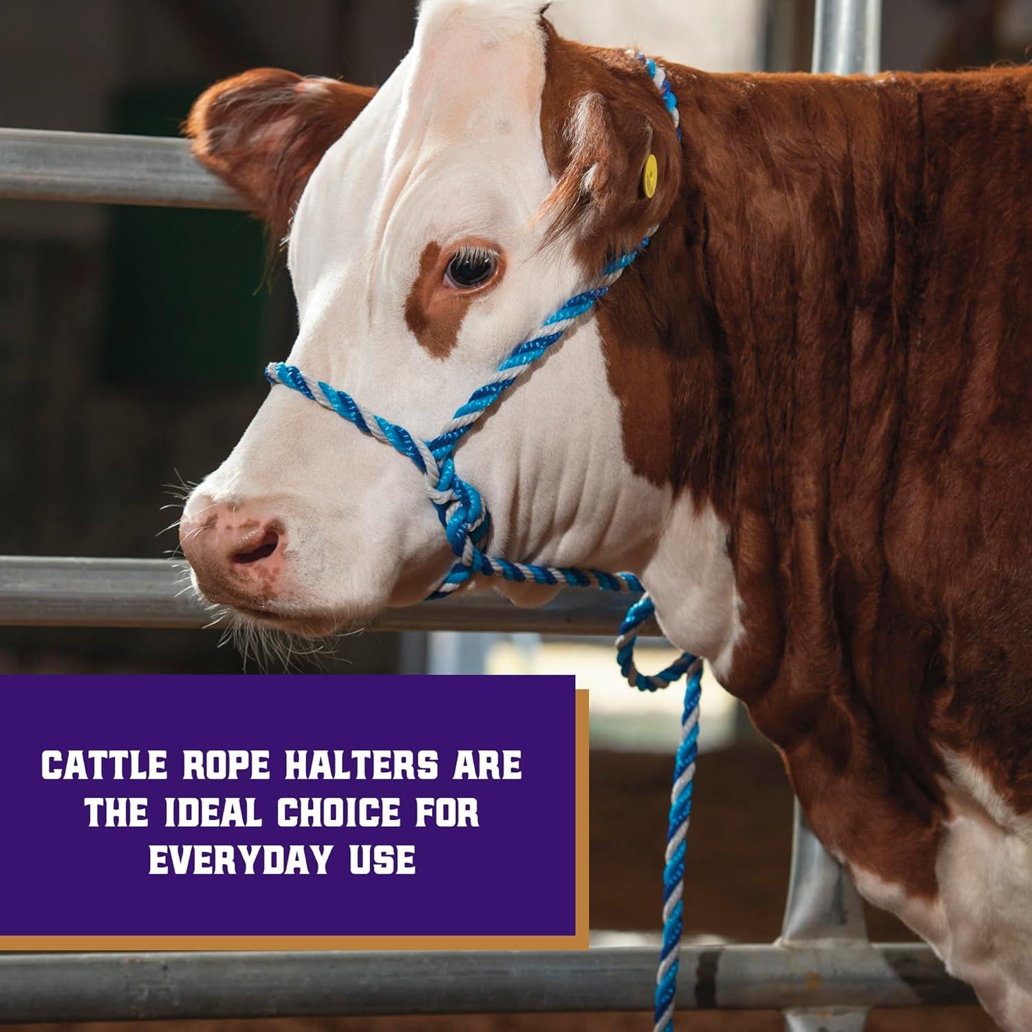 imageWeaver Livestock Braided Poly Rope Cattle Halter Adjustable Cow Calf Halter Livestock Handling Equipment for Showing Dark BlueHurricane BlueGray