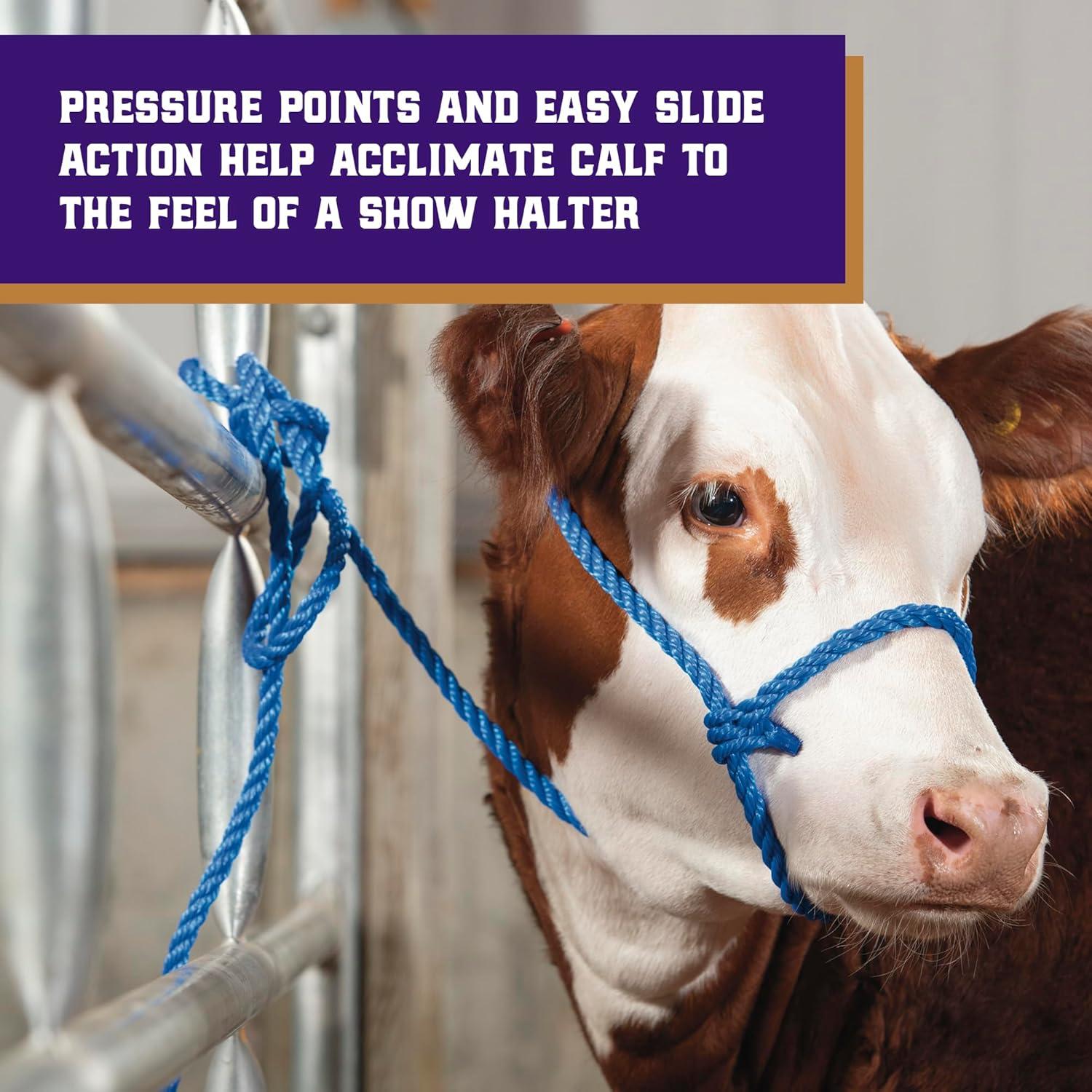 imageWeaver Livestock Poly Rope Breaking Cattle Halter Adjustable Cow Calf Halter Livestock Handling Equipment BlueHurricane BlueLime Zest