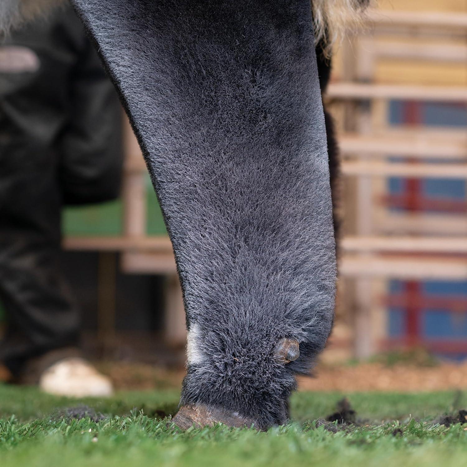 imageWeaver Livestock ProPowder Pure White 10 oz For cattle goats and sheep