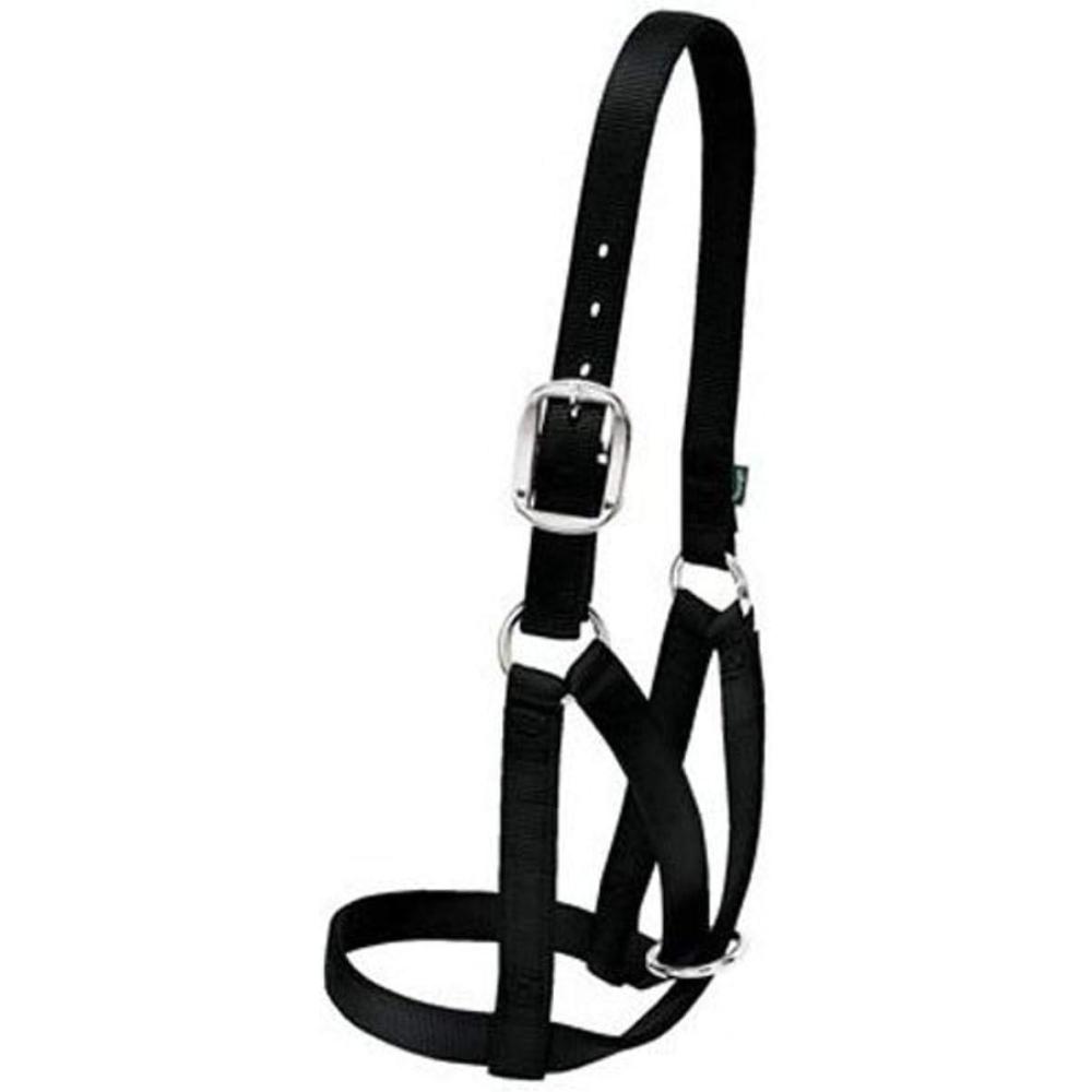 imageWeaver Livestock Barn Cow Buckle Cattle Halter Adjustable Modern Style Cow Calf Halter Livestock Handling Equipment for Showing BlackBlack