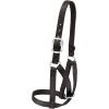 Weaver Livestock Barn Cow Buckle Cattle Halter, Adjustable, Modern Style Cow Calf Halter, Livestock Handling Equipment for Showing, Black(Black)