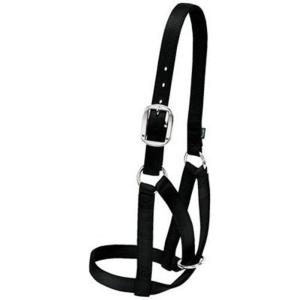 Weaver Livestock Barn Cow Buckle Cattle Halter, Adjustable, Modern Style Cow Calf Halter, Livestock Handling Equipment for Showing, Black(Black)