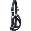 Weaver Leather Livestock Sheep & Goat Treadmill Halter