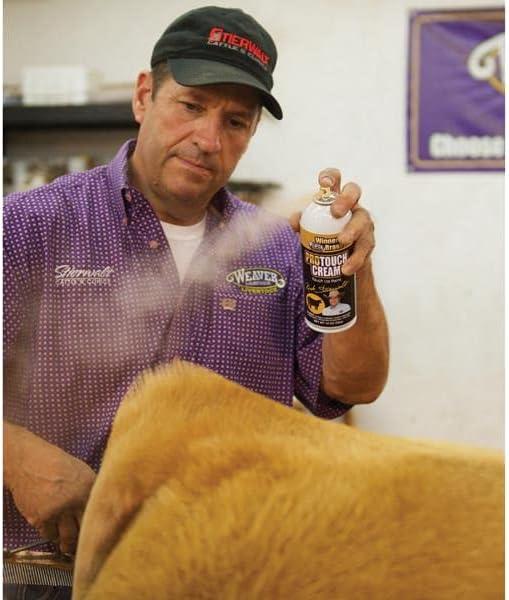 imageWeaver Leather ProTouch PaintCream