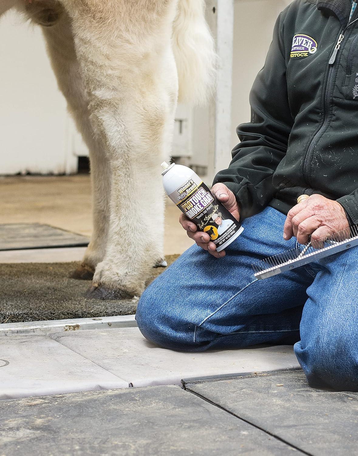 imageWeaver Leather ProTouch PaintSmoke