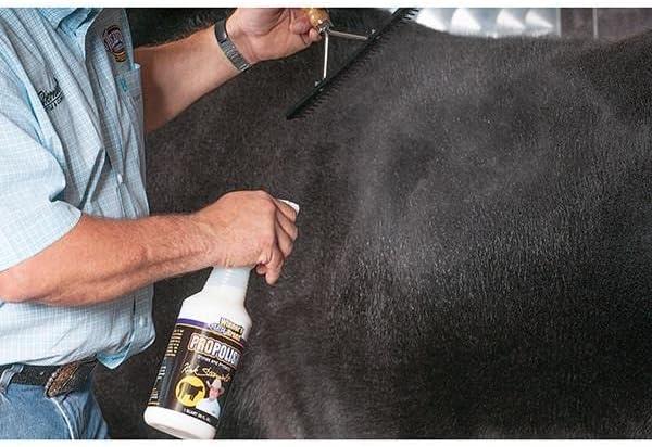 imageWeaver Leather Stierwalt ProPolish1 Count Pack of 1