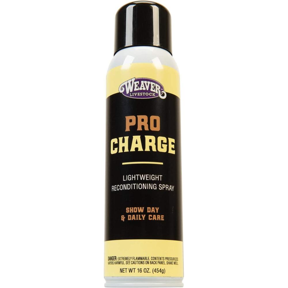 imageWeaver Leather Stierwalt ProCharge Reconditioning Spray