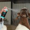Weaver Livestock ProGloss Finishing Spray
